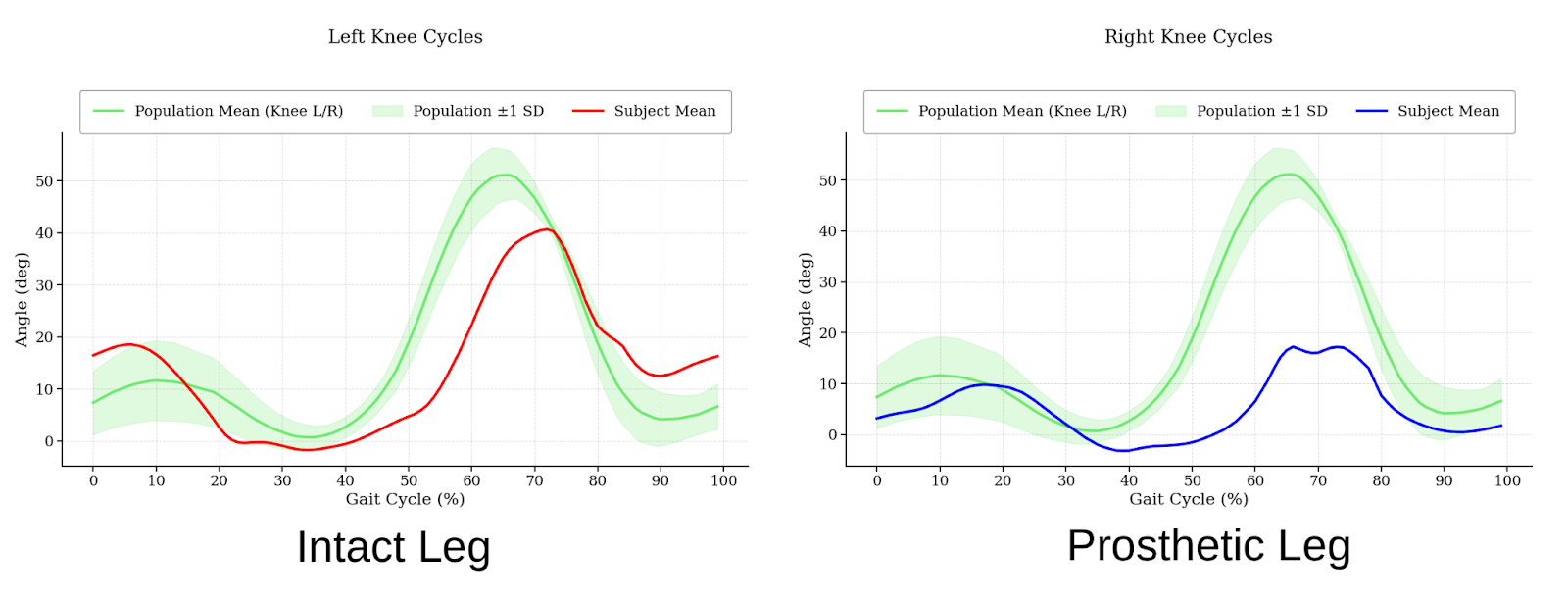 Graph of the right knee cycle (prosthetic leg) showing a reduced range of motion compared to the population mean.